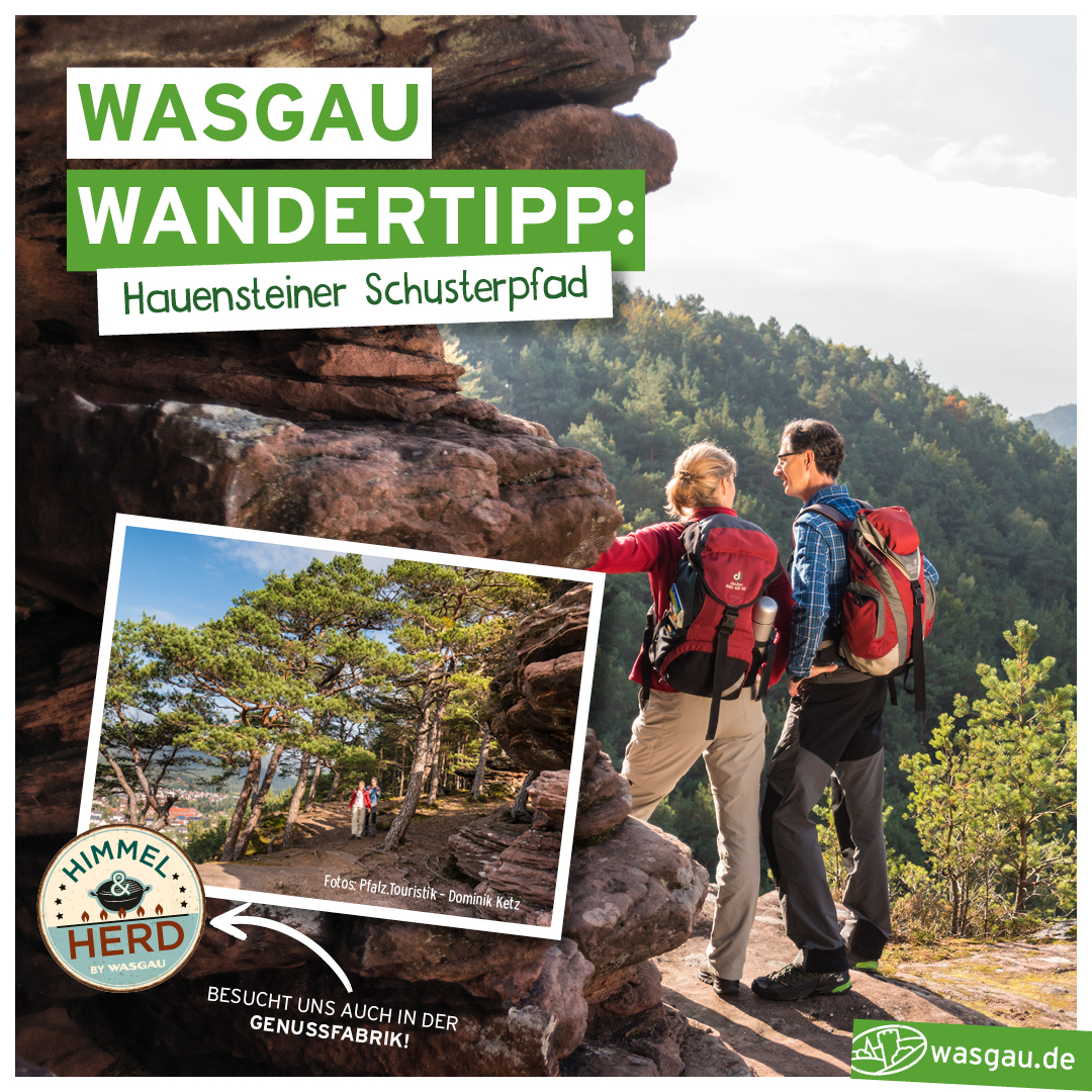 WASGAU_WanderTipp_Hauensteiner_Schusterpfad