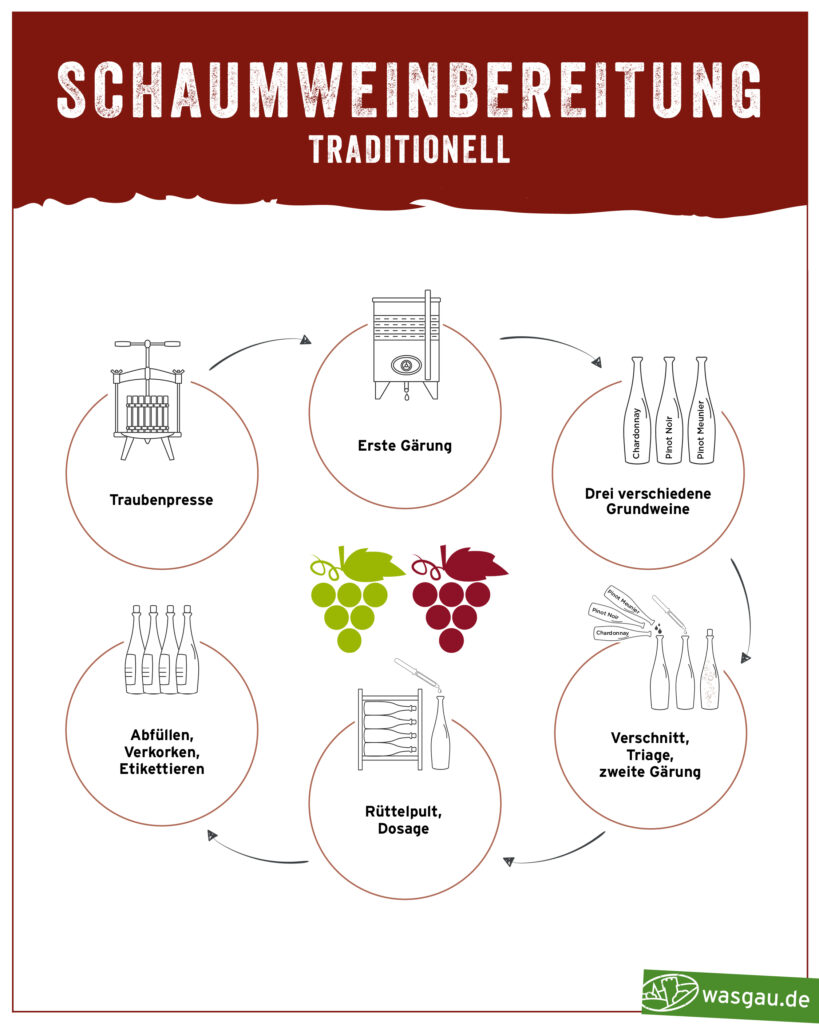 WASGAU Wein Wiki Infografik zur Schaumweinbereitung nach der traditonellen Methode, der Flaschengärung. Weinwissen kurz erklärt. 