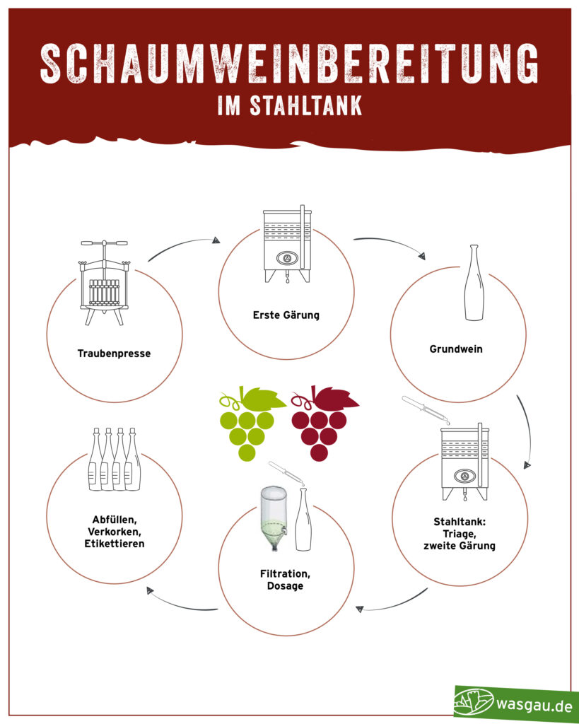 WASGAU Wein Wiki Infografik zur Schaumweinbereitung im Stahltank. Weinwissen kurz erklärt. 