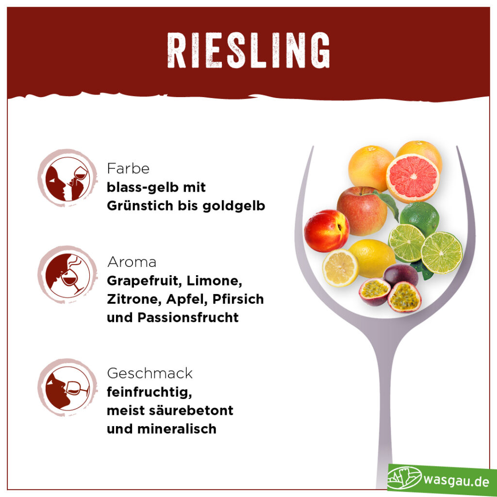 WASGAU Wein Wiki Riesling Herkunft und Geschmack 