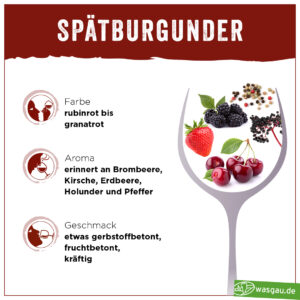 Spätburgunder Aroma, Geschmack und Charakter in der Übersicht im WASGAU Wein Wiki