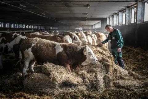 Weidehof Gut Borken Achim Multhaupt